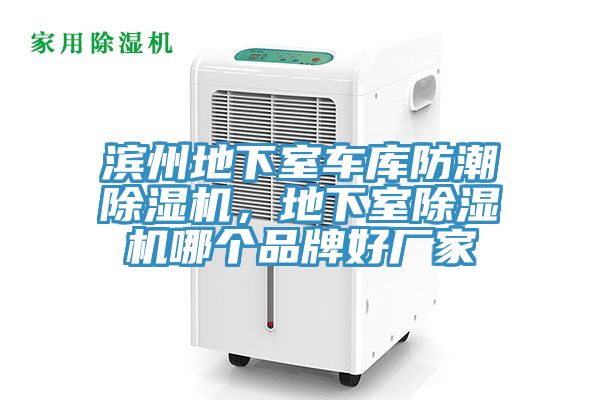 濱州地下室車庫(kù)防潮除濕機(jī)，地下室除濕機(jī)哪個(gè)品牌好廠家