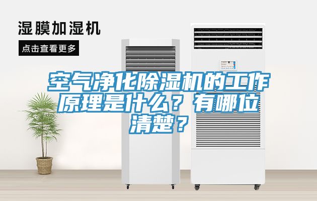空氣凈化除濕機的工作原理是什么？有哪位清楚？
