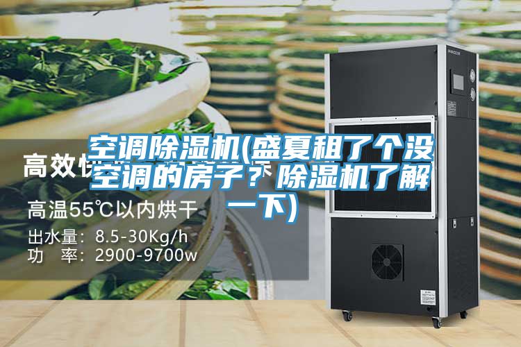 空調(diào)除濕機(jī)(盛夏租了個(gè)沒空調(diào)的房子？除濕機(jī)了解一下)