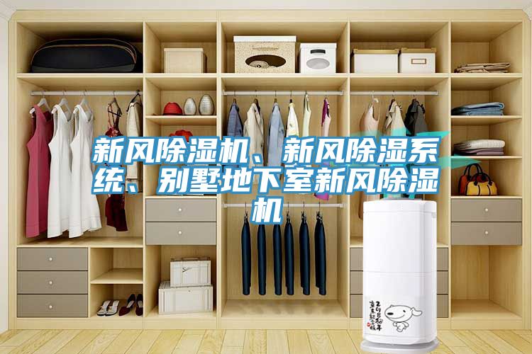 新風(fēng)除濕機(jī)、新風(fēng)除濕系統(tǒng)、別墅地下室新風(fēng)除濕機(jī)