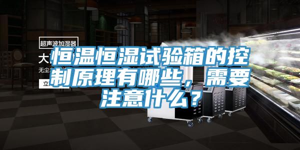 恒溫恒濕試驗(yàn)箱的控制原理有哪些，需要注意什么？