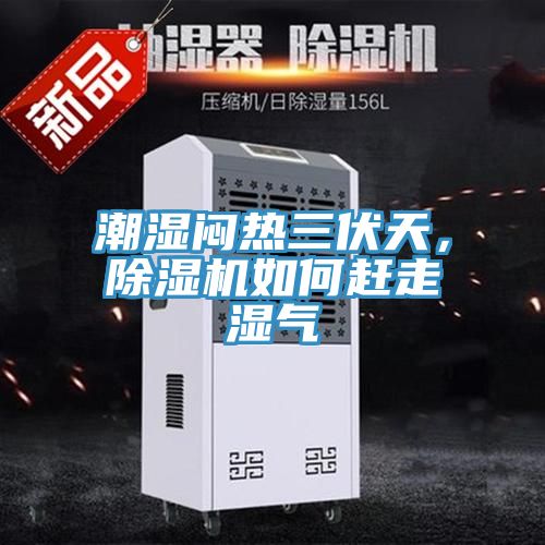 潮濕悶熱三伏天，除濕機如何趕走濕氣