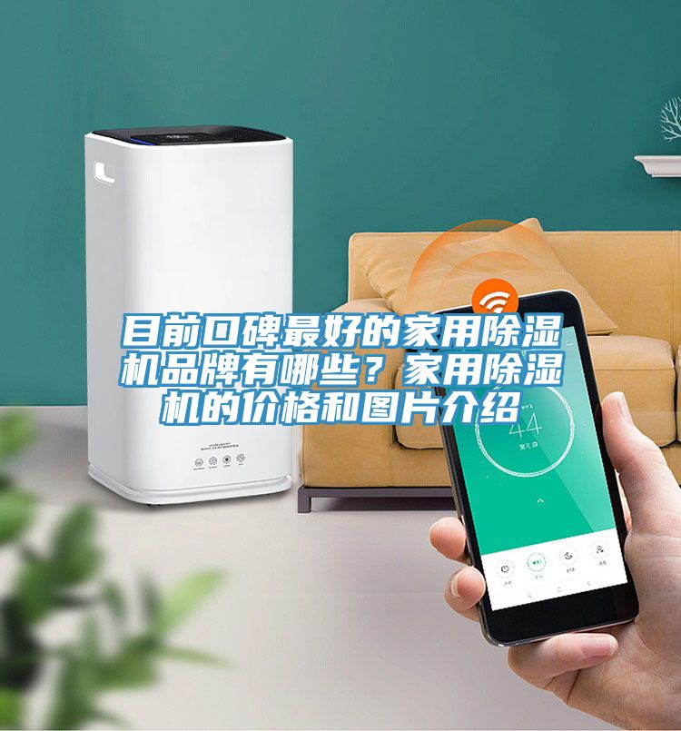 目前口碑最好的家用除濕機(jī)品牌有哪些？家用除濕機(jī)的價(jià)格和圖片介紹