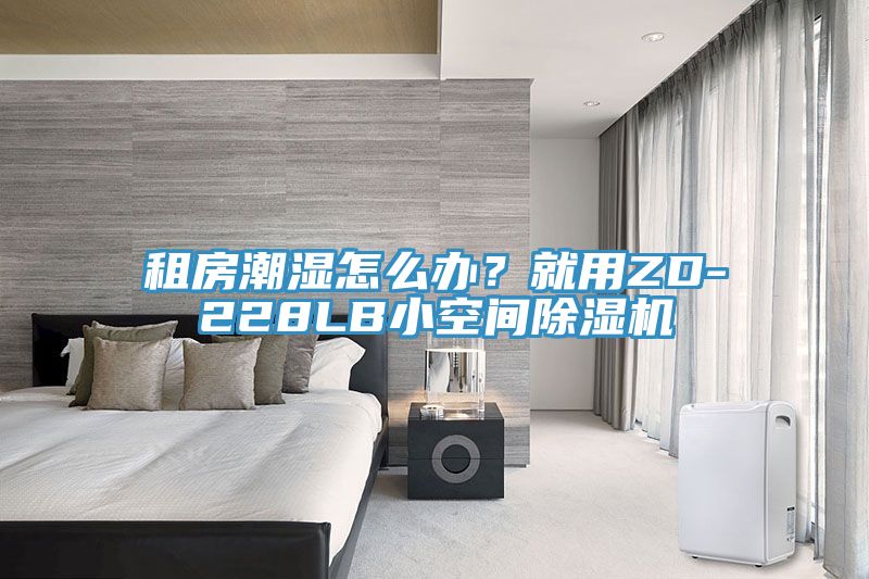 租房潮濕怎么辦？就用ZD-228LB小空間除濕機(jī)