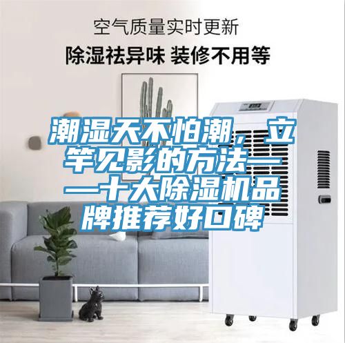 潮濕天不怕潮，立竿見影的方法——十大除濕機品牌推薦好口碑