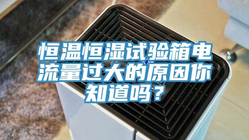 恒溫恒濕試驗箱電流量過大的原因你知道嗎？