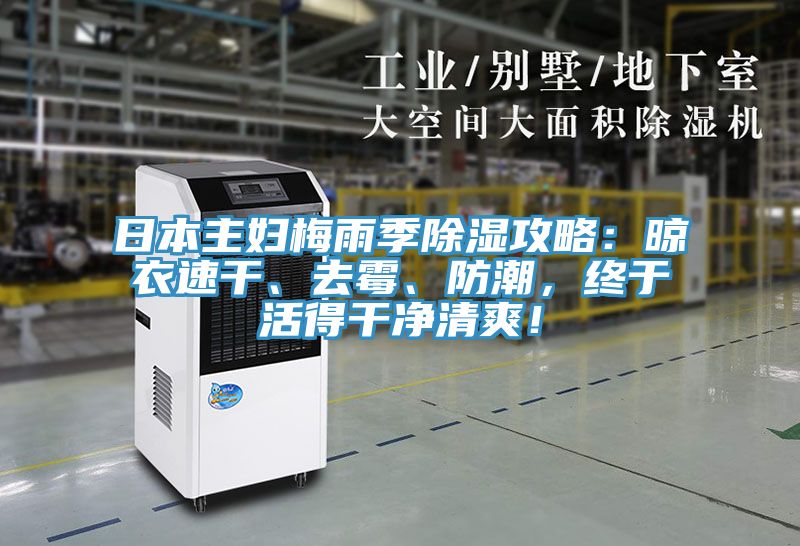 日本主婦梅雨季除濕攻略：晾衣速干、去霉、防潮，終于活得干凈清爽！