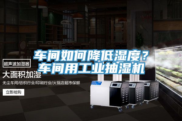 車間如何降低濕度？車間用工業(yè)抽濕機