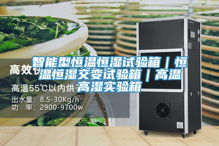智能型恒溫恒濕試驗(yàn)箱｜恒溫恒濕交變試驗(yàn)箱｜高溫高濕實(shí)驗(yàn)箱