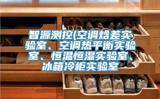智源測控(空調焓差實驗室、空調熱平衡實驗室、恒溫恒濕實驗室、冰箱冷柜實驗室
