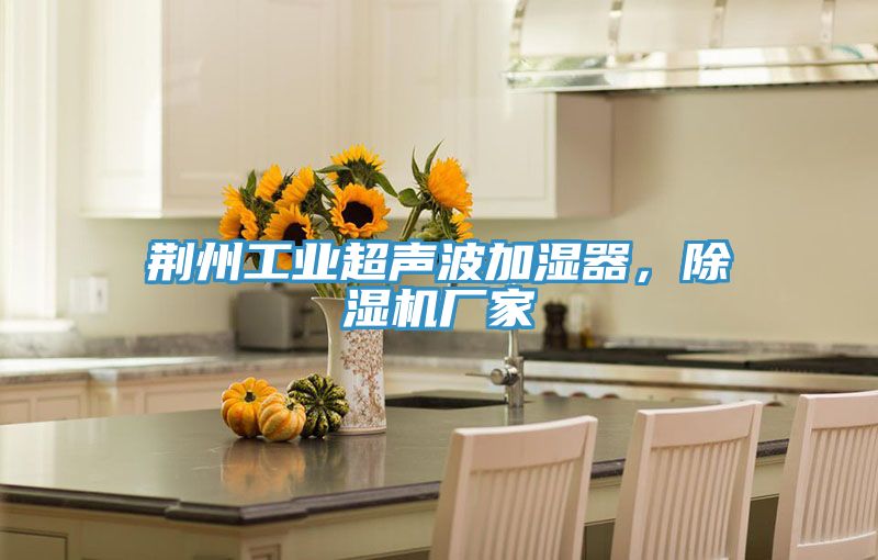 荊州工業(yè)超聲波加濕器，除濕機廠家