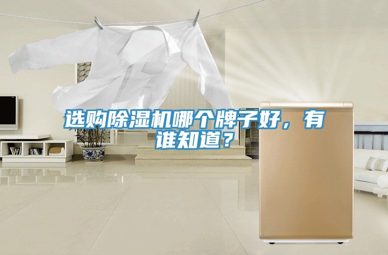 選購除濕機哪個牌子好，有誰知道？