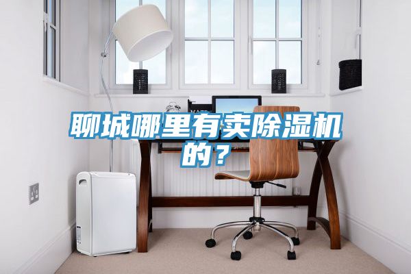 聊城哪里有賣除濕機(jī)的？