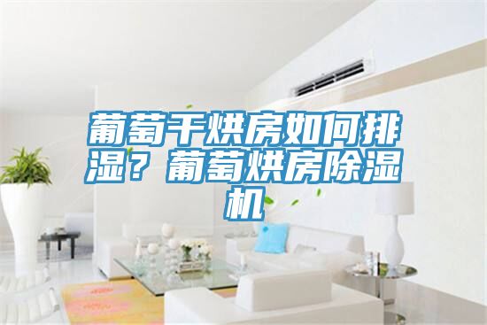 葡萄干烘房如何排濕？葡萄烘房除濕機