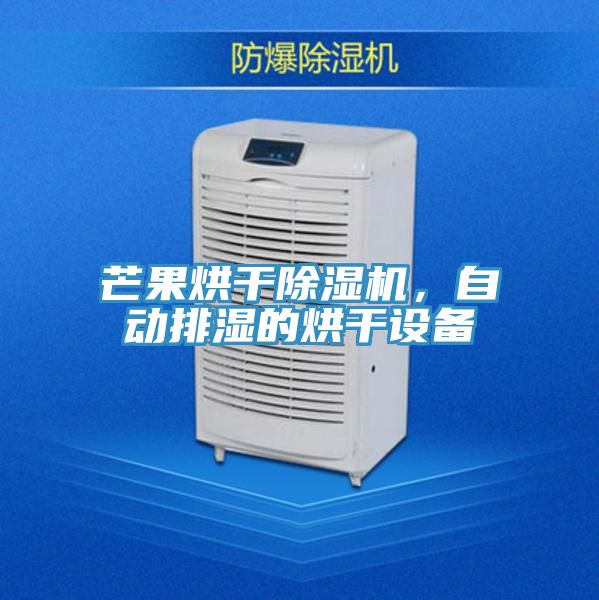 芒果烘干除濕機，自動排濕的烘干設(shè)備