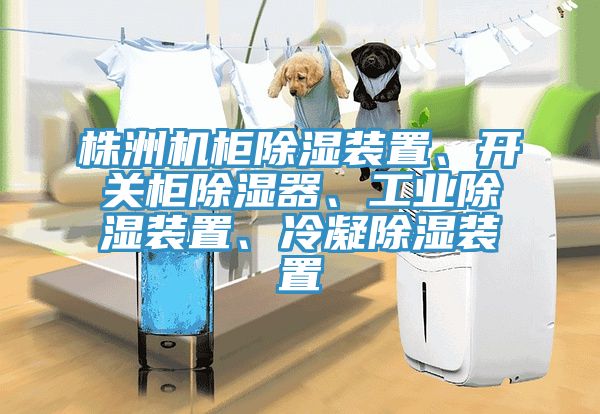 株洲機柜除濕裝置、開關柜除濕器、工業(yè)除濕裝置、冷凝除濕裝置