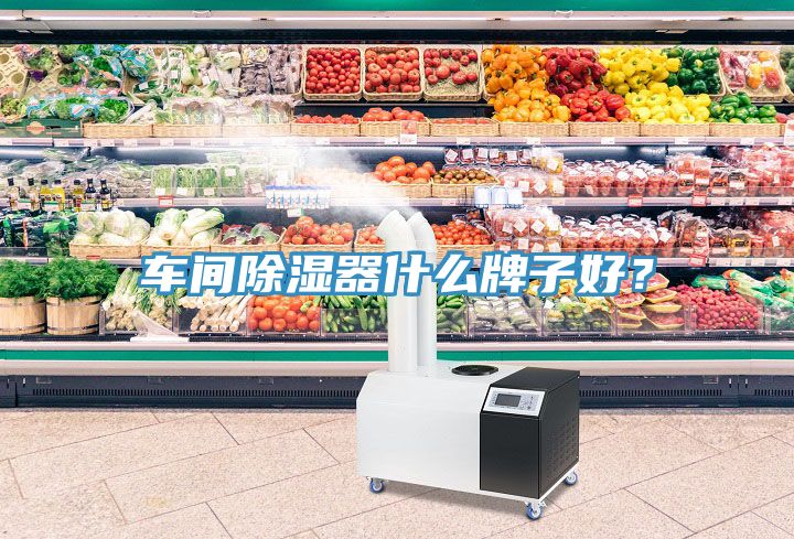 車間除濕器什么牌子好？