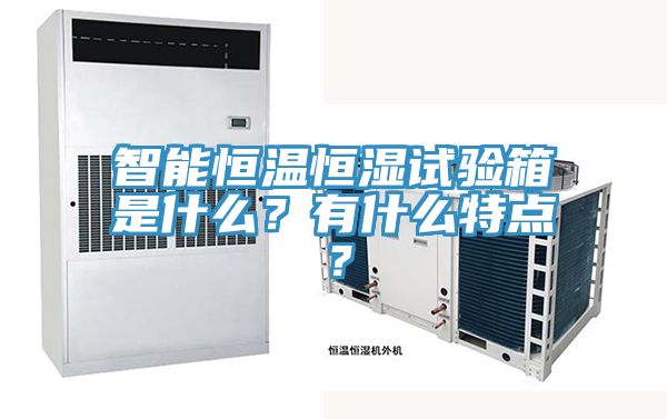 智能恒溫恒濕試驗箱是什么？有什么特點？