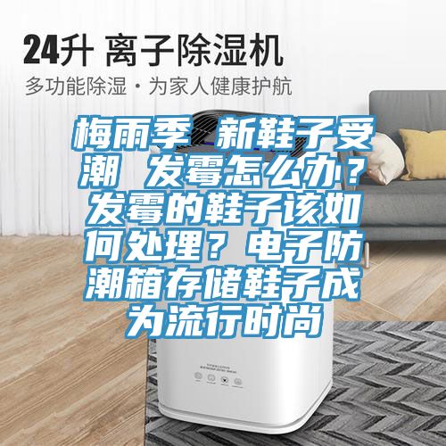 梅雨季 新鞋子受潮 發(fā)霉怎么辦？發(fā)霉的鞋子該如何處理？電子防潮箱存儲(chǔ)鞋子成為流行時(shí)尚