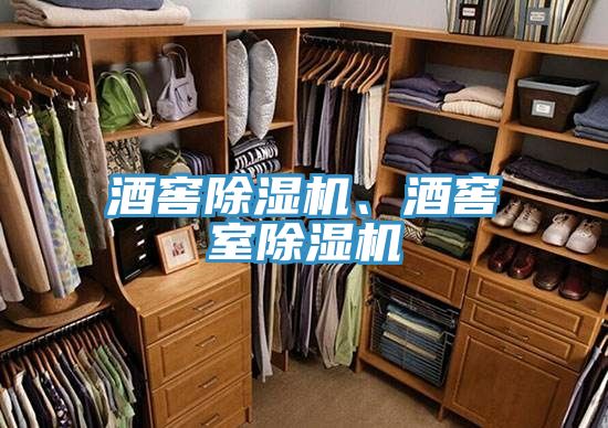 酒窖除濕機(jī)、酒窖室除濕機(jī)