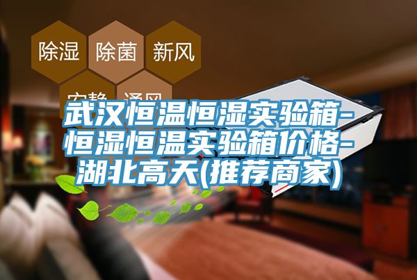 武漢恒溫恒濕實(shí)驗箱-恒濕恒溫實(shí)驗箱價格-湖北高天(推薦商家)