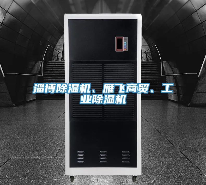 淄博除濕機、雁飛商貿(mào)、工業(yè)除濕機