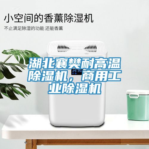 湖北襄樊耐高溫除濕機(jī)，商用工業(yè)除濕機(jī)