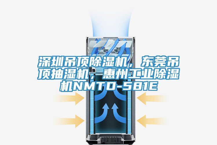 深圳吊頂除濕機，東莞吊頂抽濕機，惠州工業(yè)除濕機NMTD-581E