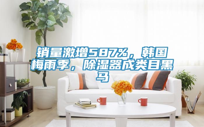 銷量激增587%，韓國梅雨季，除濕器成類目黑馬