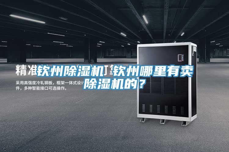 欽州除濕機(jī) 欽州哪里有賣除濕機(jī)的？