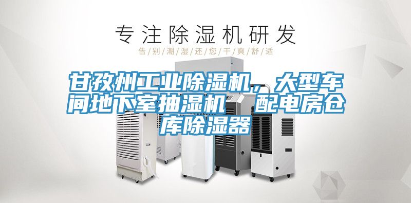 甘孜州工業(yè)除濕機(jī)，大型車(chē)間地下室抽濕機(jī)  配電房倉(cāng)庫(kù)除濕器
