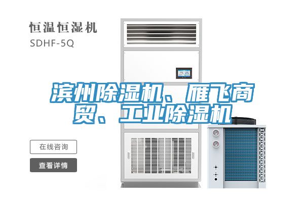 濱州除濕機(jī)、雁飛商貿(mào)、工業(yè)除濕機(jī)