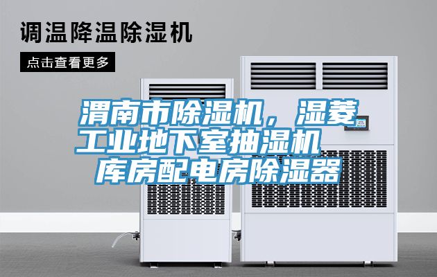 渭南市除濕機(jī)，濕菱工業(yè)地下室抽濕機(jī)  庫(kù)房配電房除濕器