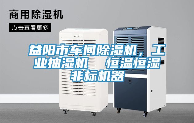 益陽(yáng)市車(chē)間除濕機(jī)，工業(yè)抽濕機(jī)  恒溫恒濕非標(biāo)機(jī)器