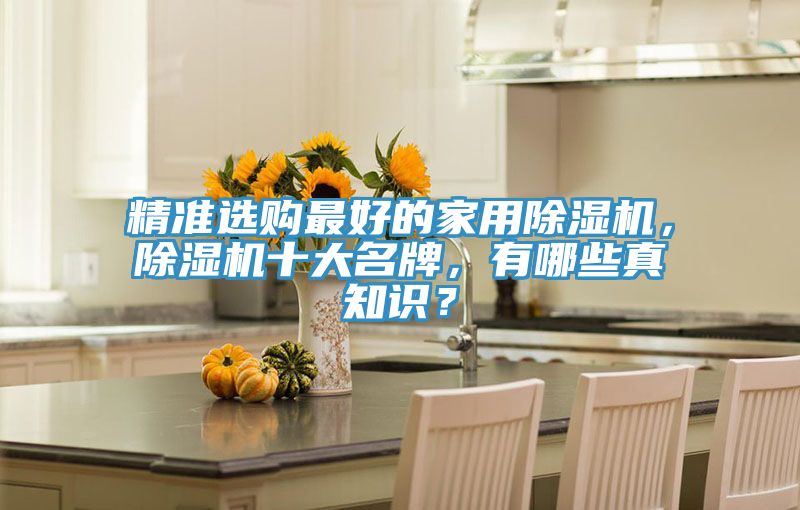 精準選購最好的家用除濕機，除濕機十大名牌，有哪些真知識？