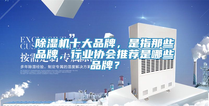 除濕機(jī)十大品牌，是指那些品牌，行業(yè)協(xié)會推薦是哪些品牌？
