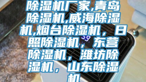 除濕機廠家,青島除濕機,威海除濕機,煙臺除濕機，日照除濕機，東營除濕機，濰坊除濕機，山東除濕機