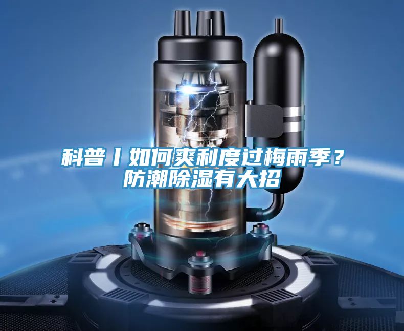 科普丨如何爽利度過梅雨季？防潮除濕有大招