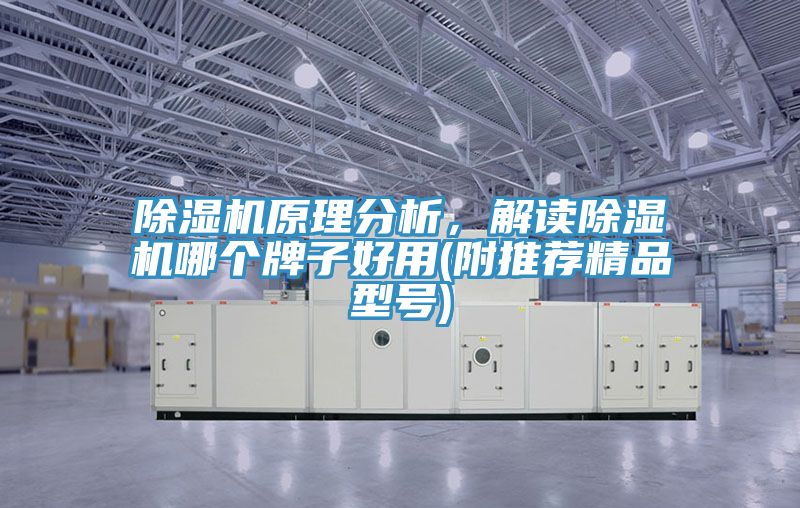 除濕機(jī)原理分析，解讀除濕機(jī)哪個(gè)牌子好用(附推薦精品型號(hào))