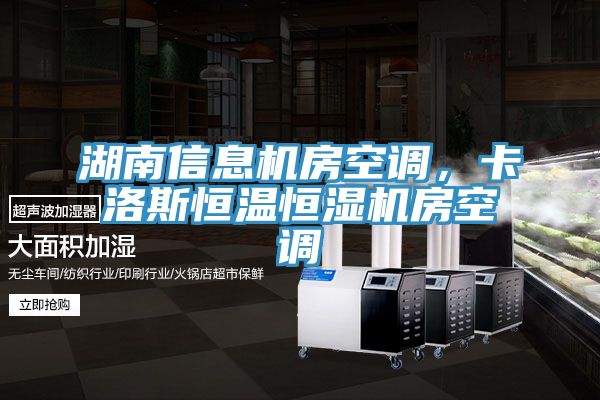 湖南信息機房空調(diào)，卡洛斯恒溫恒濕機房空調(diào)