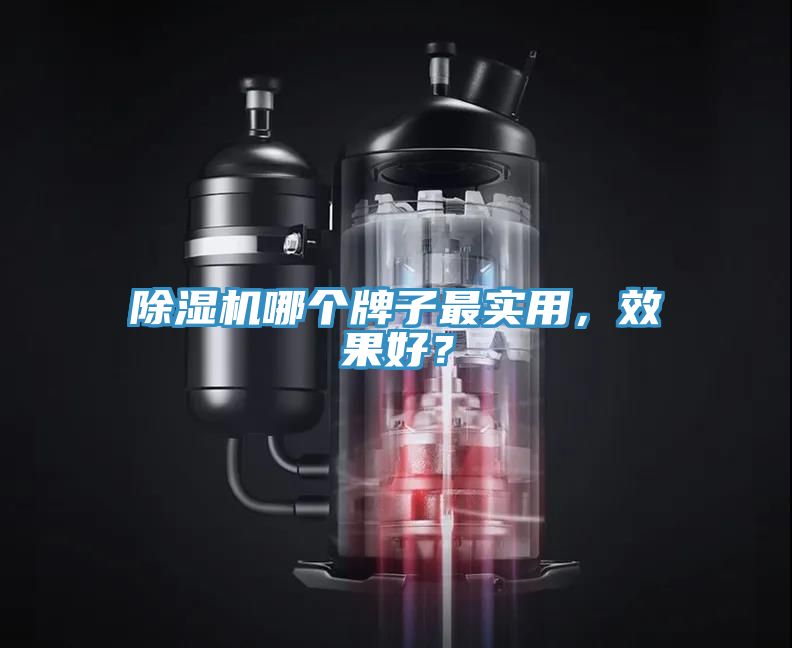 除濕機哪個牌子最實用，效果好？