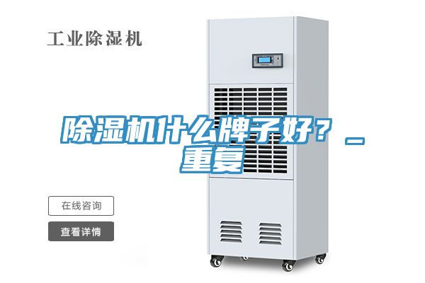 除濕機什么牌子好？_重復