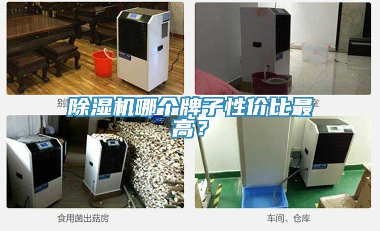 除濕機(jī)哪個牌子性價比最高？