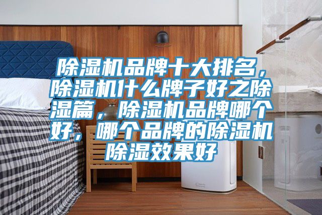 除濕機(jī)品牌十大排名，除濕機(jī)什么牌子好之除濕篇，除濕機(jī)品牌哪個(gè)好，哪個(gè)品牌的除濕機(jī)除濕效果好