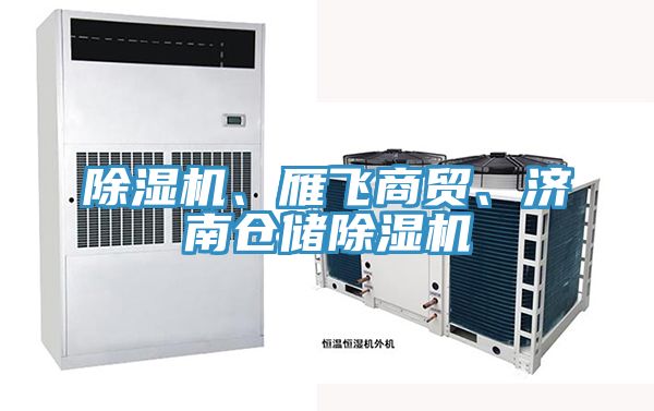 除濕機、雁飛商貿(mào)、濟南倉儲除濕機