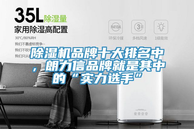 除濕機品牌十大排名中，朗力信品牌就是其中的“實力選手”