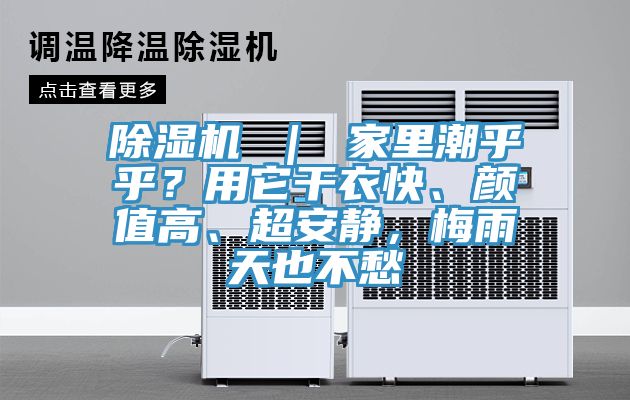 除濕機 ｜ 家里潮乎乎？用它干衣快、顏值高、超安靜，梅雨天也不愁