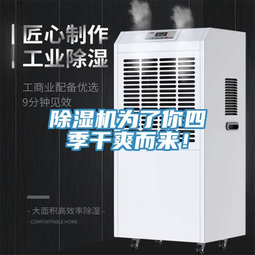 除濕機為了你四季干爽而來！