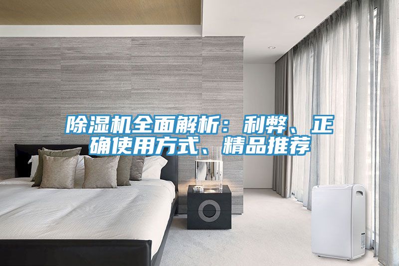 除濕機全面解析：利弊、正確使用方式、精品推薦