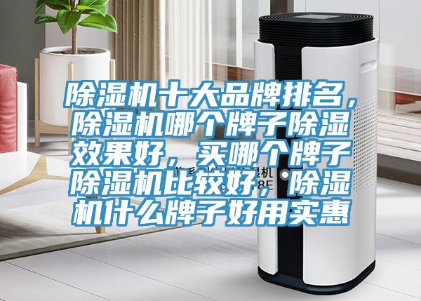 除濕機(jī)十大品牌排名，除濕機(jī)哪個(gè)牌子除濕效果好，買哪個(gè)牌子除濕機(jī)比較好，除濕機(jī)什么牌子好用實(shí)惠